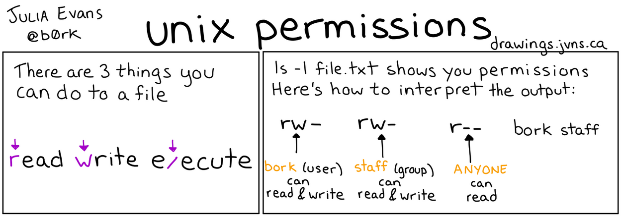 Unix Permissions cheatsheet by Julia Evans. See more about permissions in the bash course notes